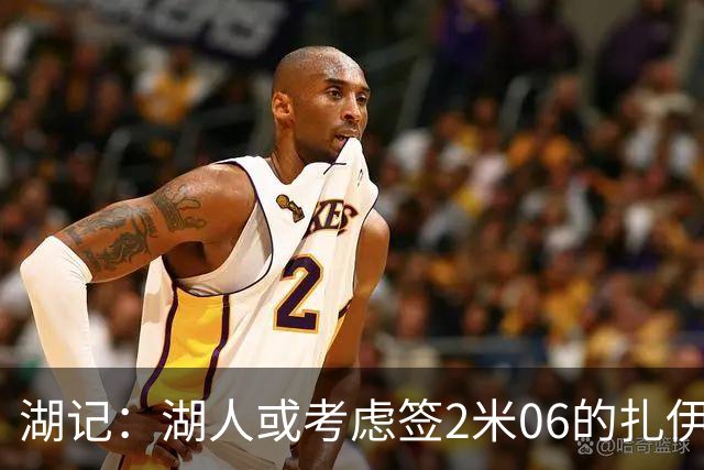 湖记：湖人或考虑签2米06的扎伊尔·威廉姆斯 他和布朗尼当过队友